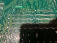 IMG_2119.jpeg